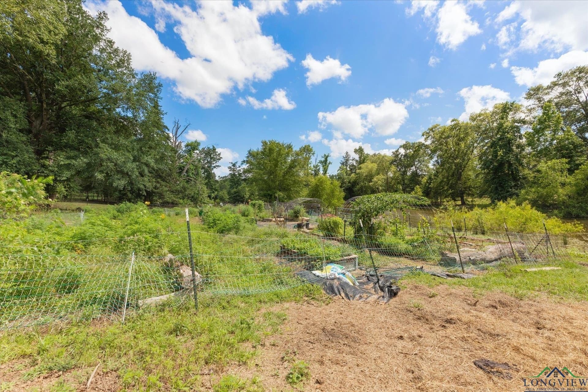 14.69 acres in Upshur County - photo 42