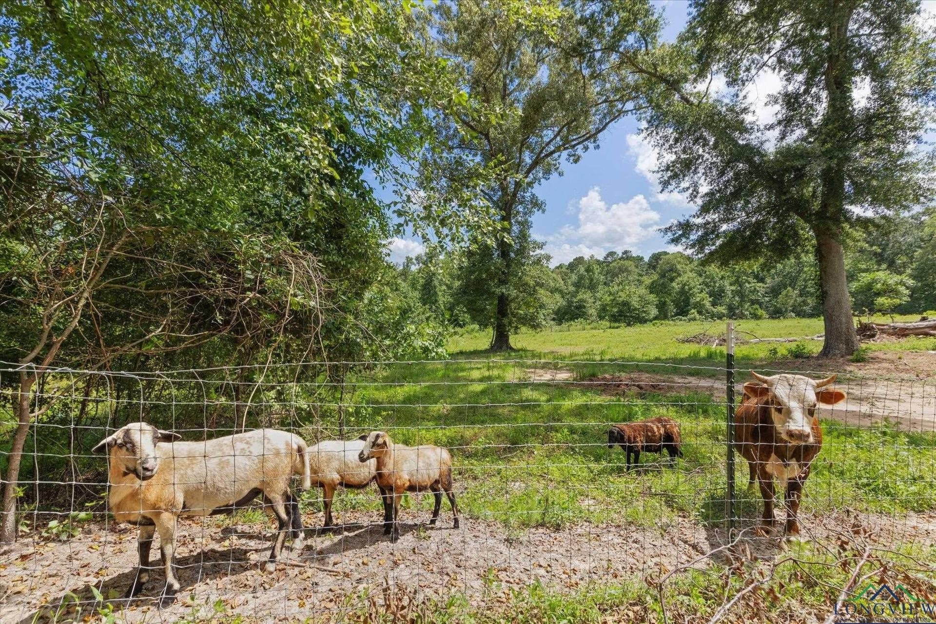 14.69 acres in Upshur County - photo 43