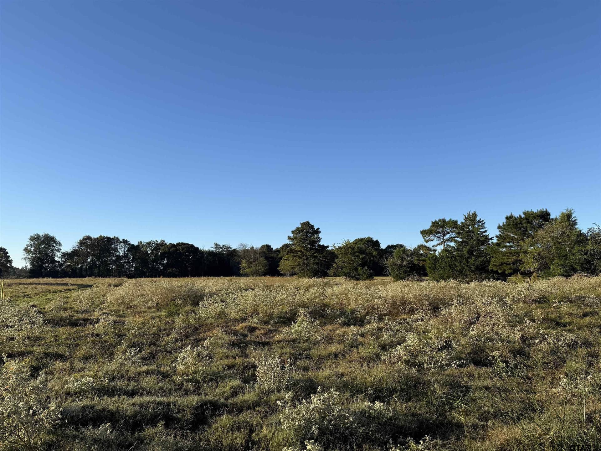 10 acres in Rusk County - photo 6