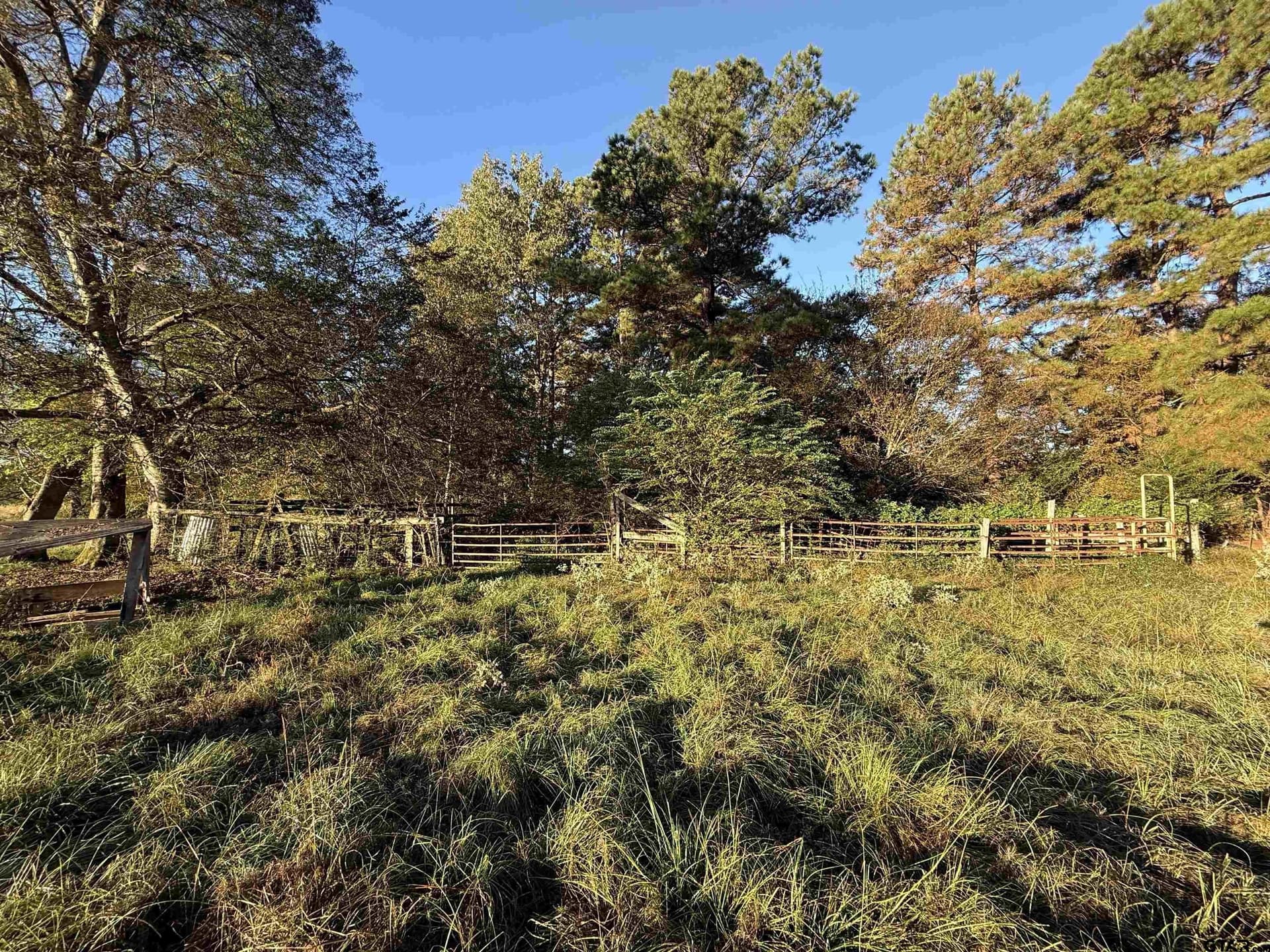 10 acres in Rusk County - photo 4