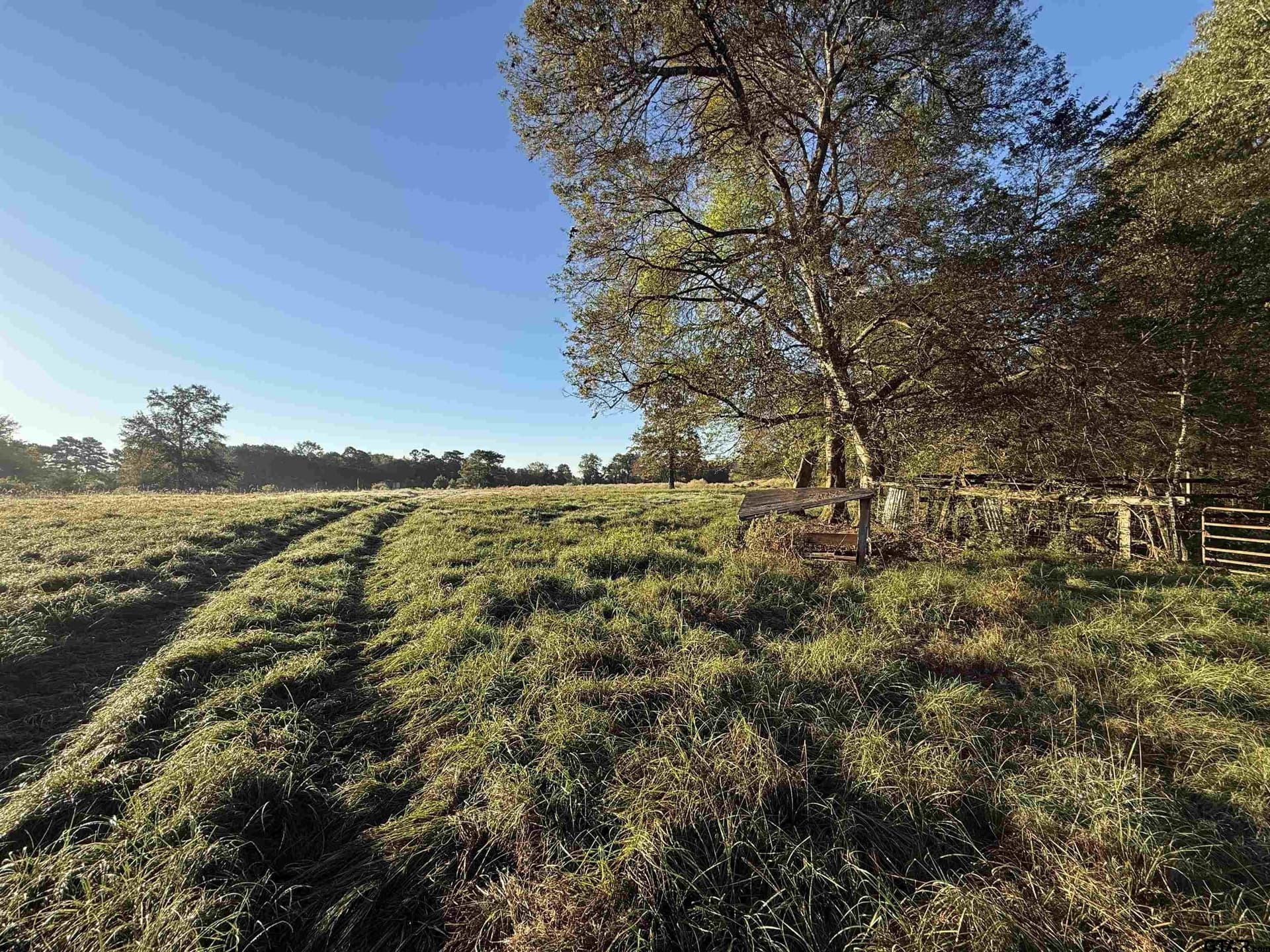 10 acres in Rusk County - photo 5
