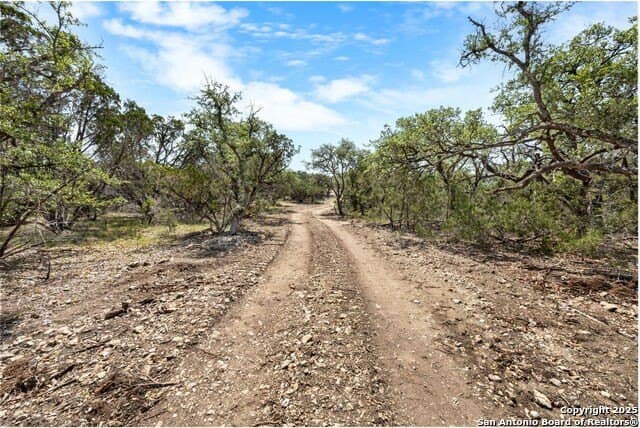 99.68 acres in Comal County - photo 8