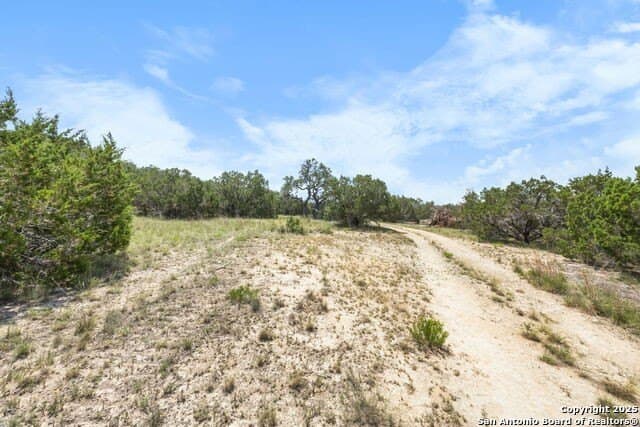99.68 acres in Comal County - photo 21