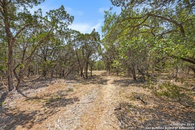 99.68 acres in Comal County - photo 25