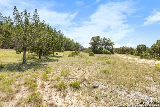 99.68 acres in Comal County - photo 22