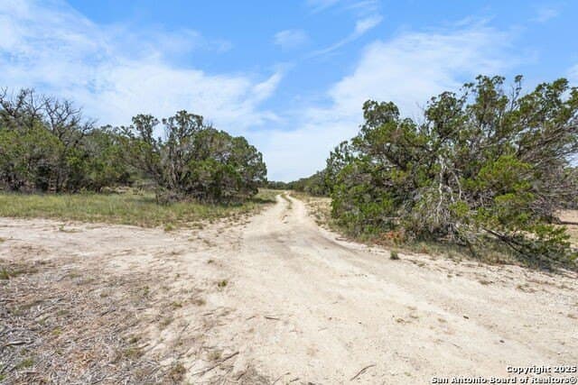 99.68 acres in Comal County - photo 24