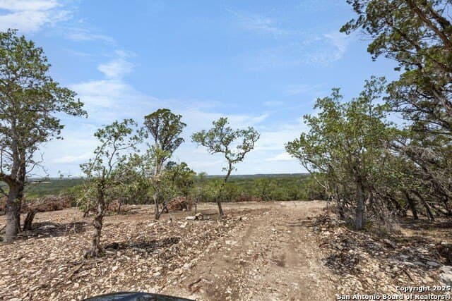 99.68 acres in Comal County - photo 16