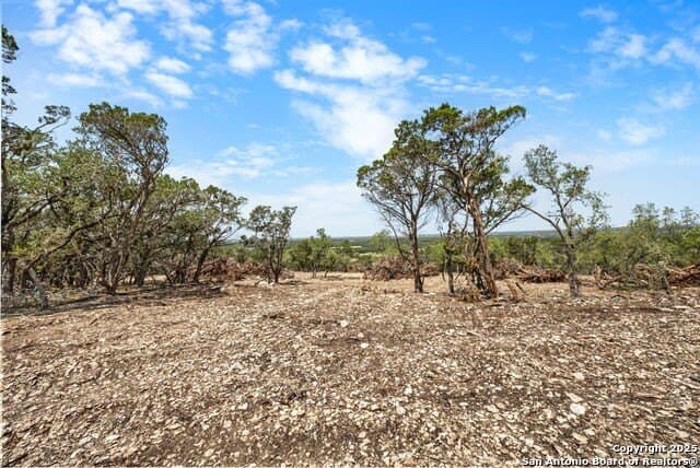99.68 acres in Comal County - photo 11