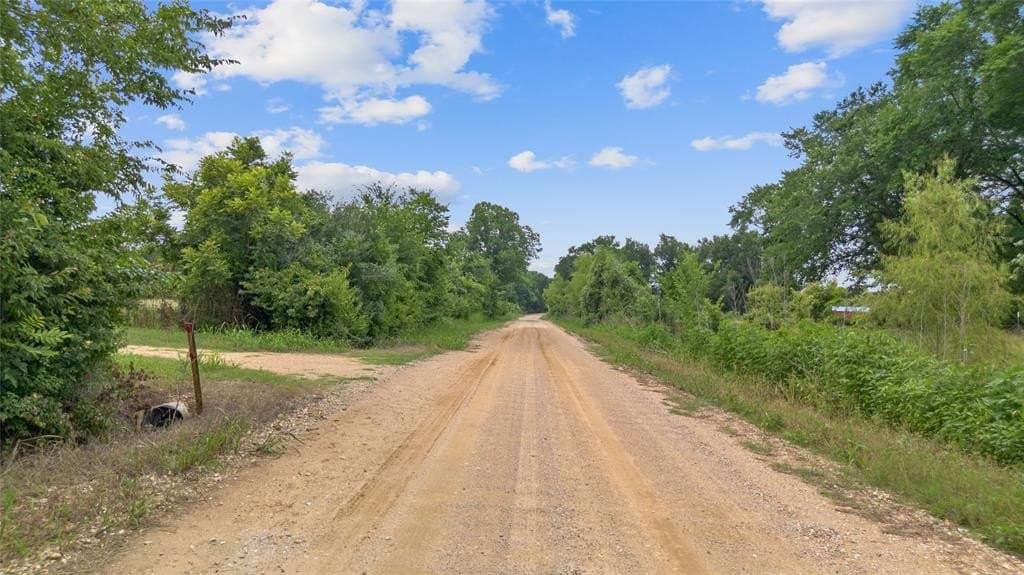 16.88 acres in Burleson County - photo 7