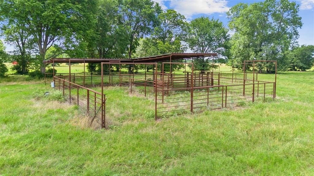 16.88 acres in Burleson County - photo 8