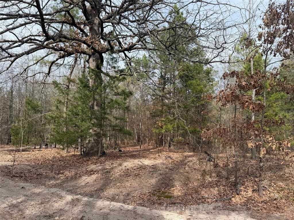 13.2 acres in Red River County - photo 8