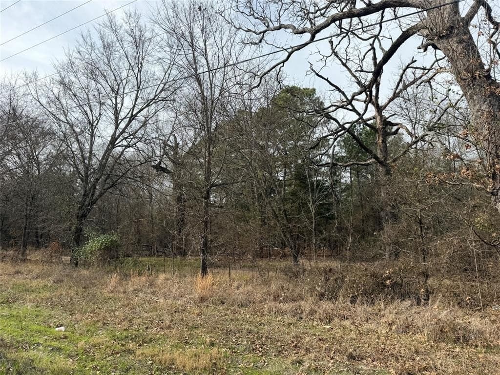 13.2 acres in Red River County - photo 11