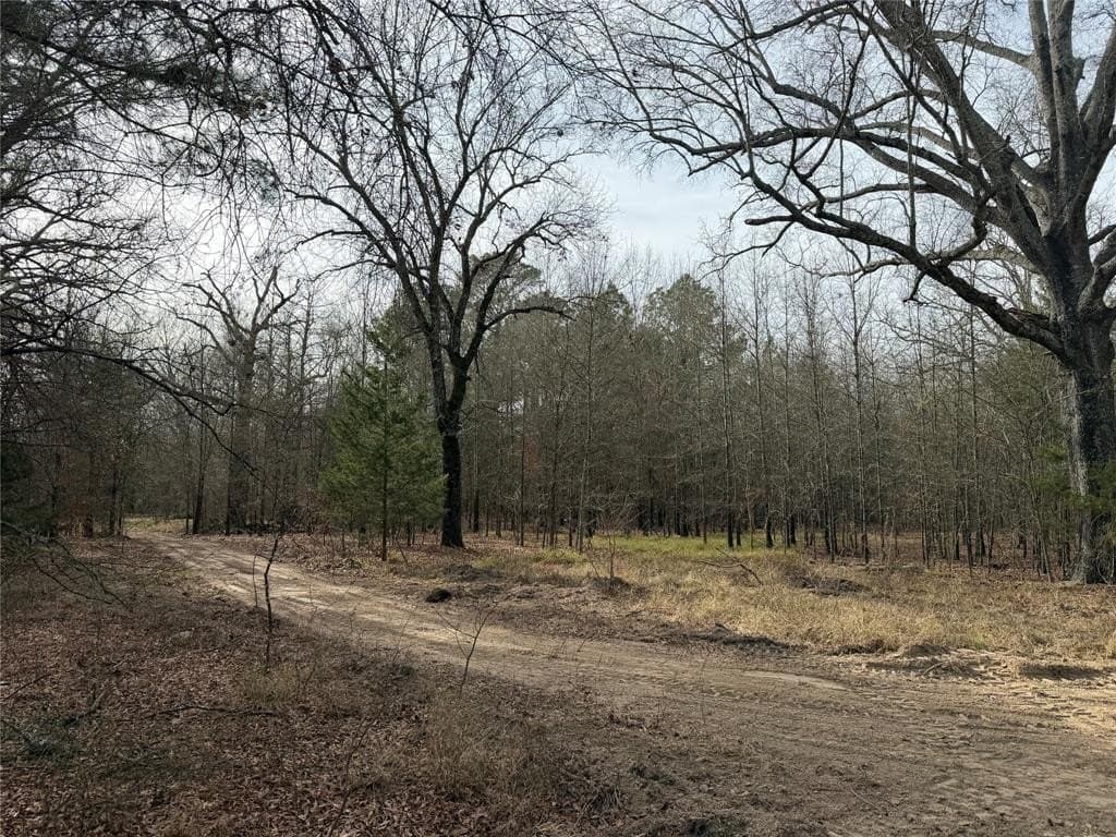 13.2 acres in Red River County - photo 4