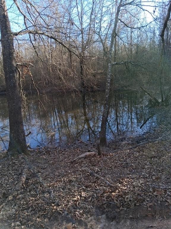 13.2 acres in Red River County - photo 5