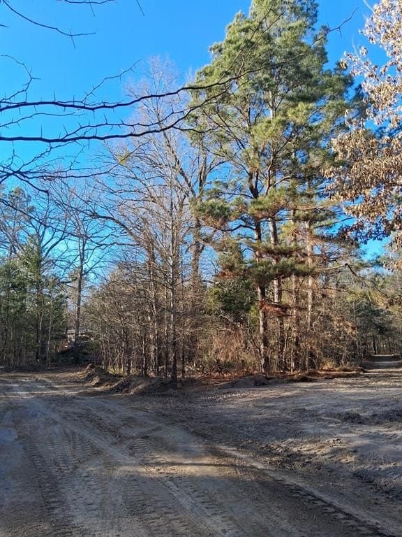 13.2 acres in Red River County - photo 6