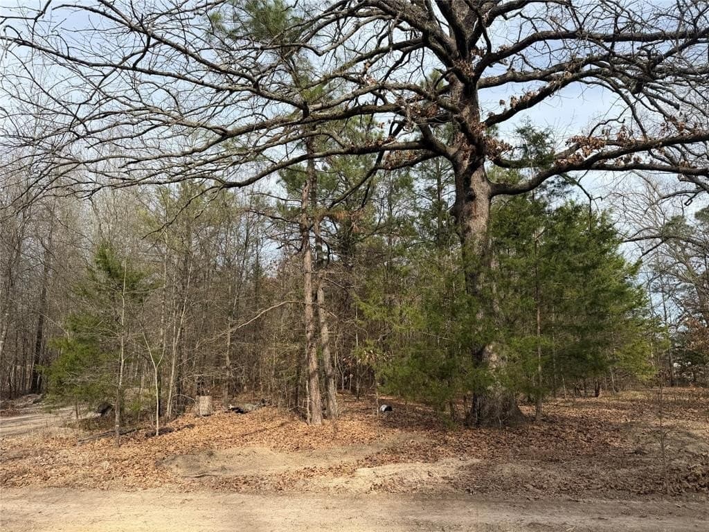 13.2 acres in Red River County - photo 9