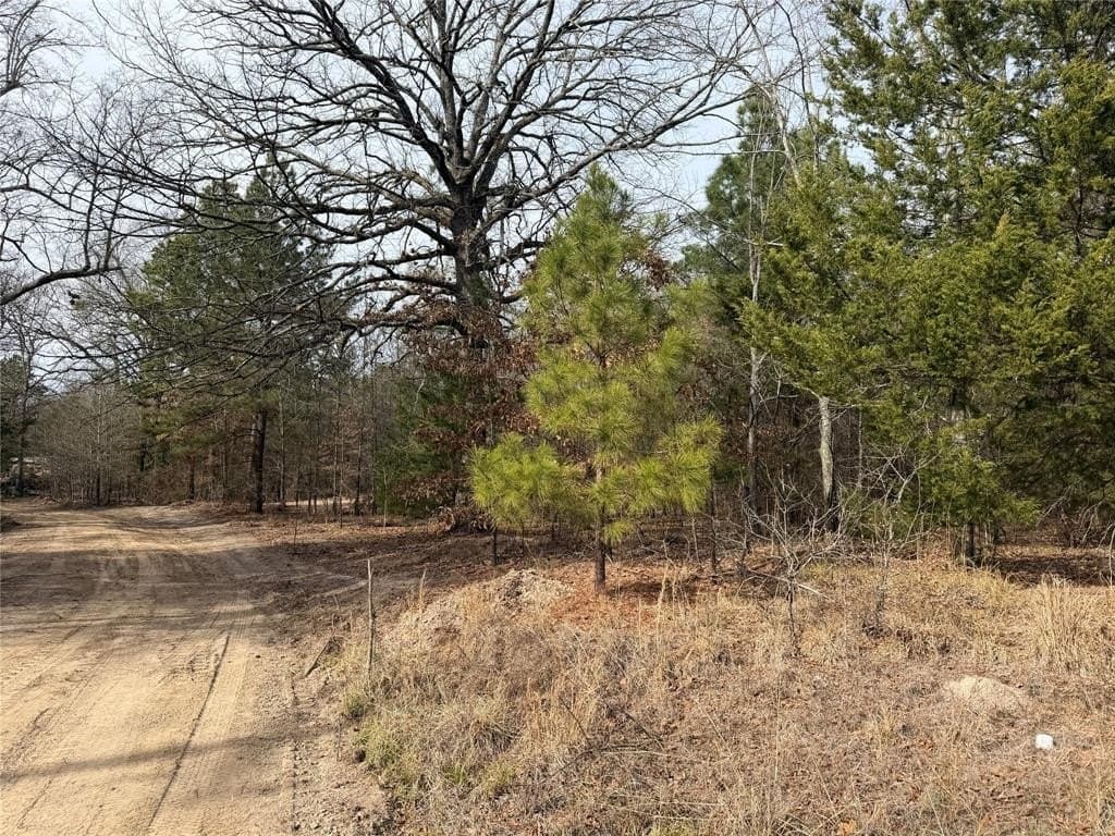13.2 acres in Red River County - photo 7