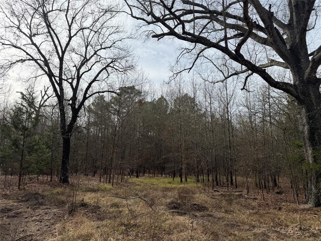 13.2 acres in Red River County - photo 3