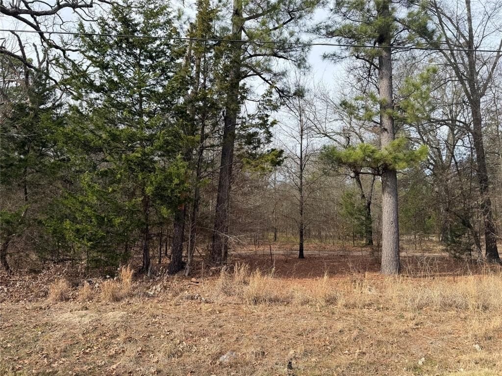 13.2 acres in Red River County - photo 10