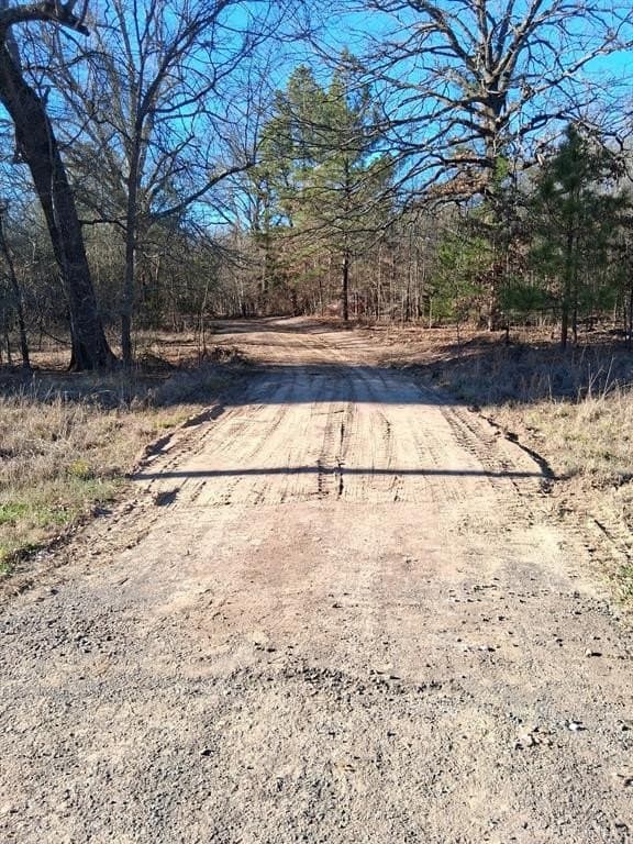 13.2 acres in Red River County - photo 2