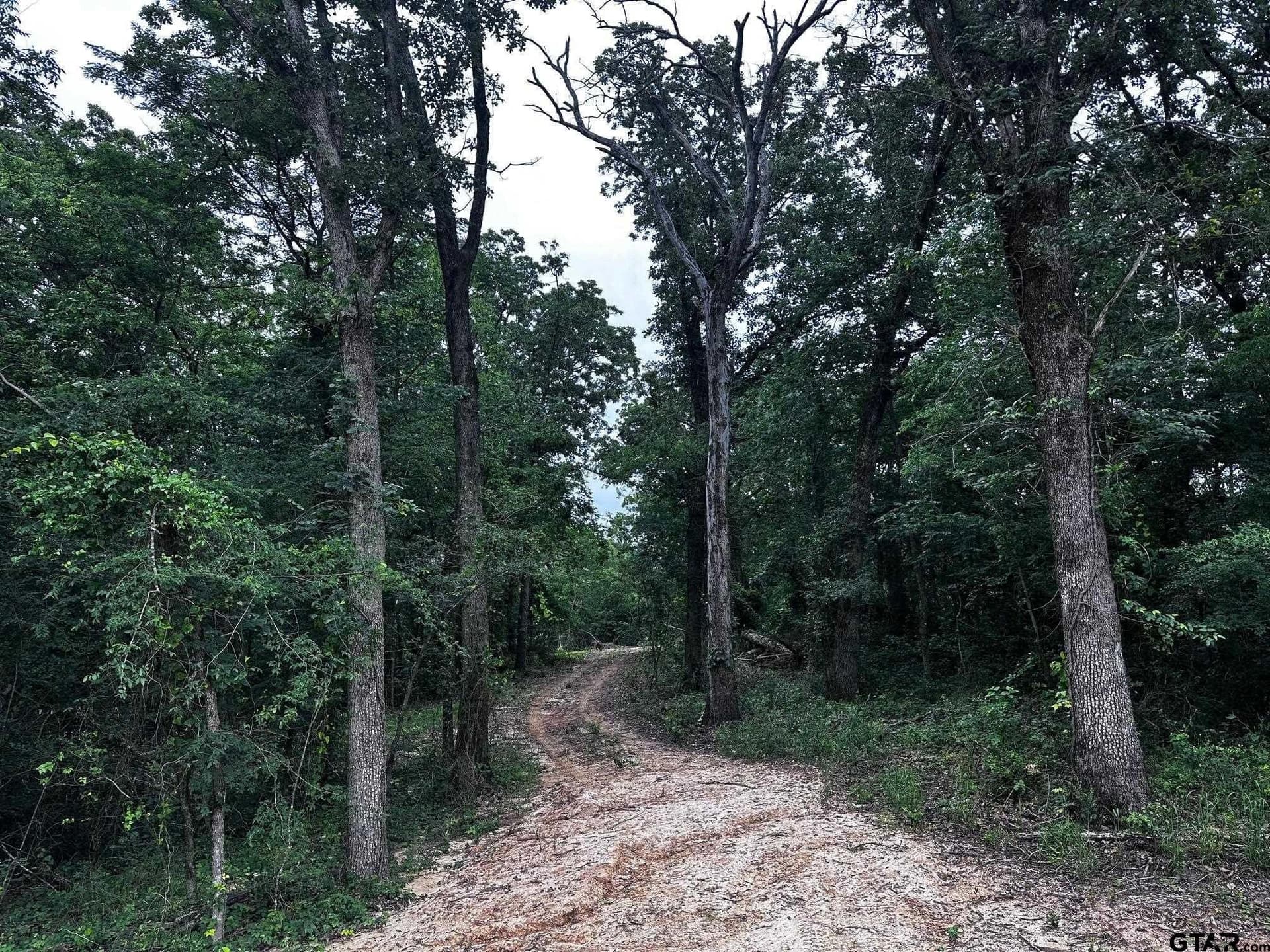 10.01 acres in Van Zandt County - photo 10
