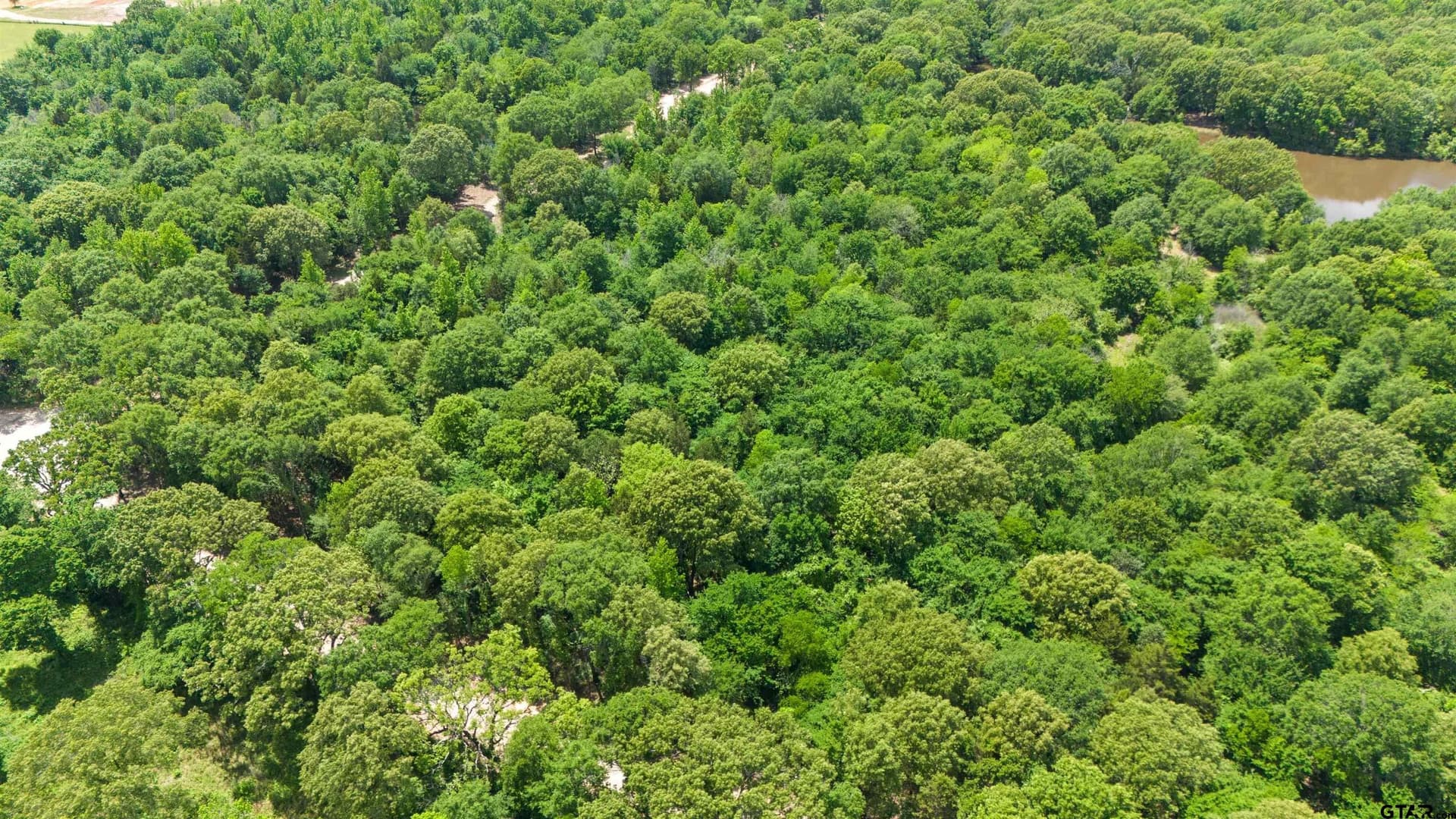10.01 acres in Van Zandt County - photo 8
