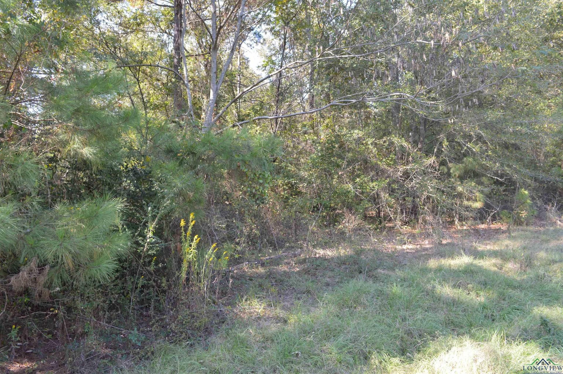 13.1 acres in Texas County - photo 3
