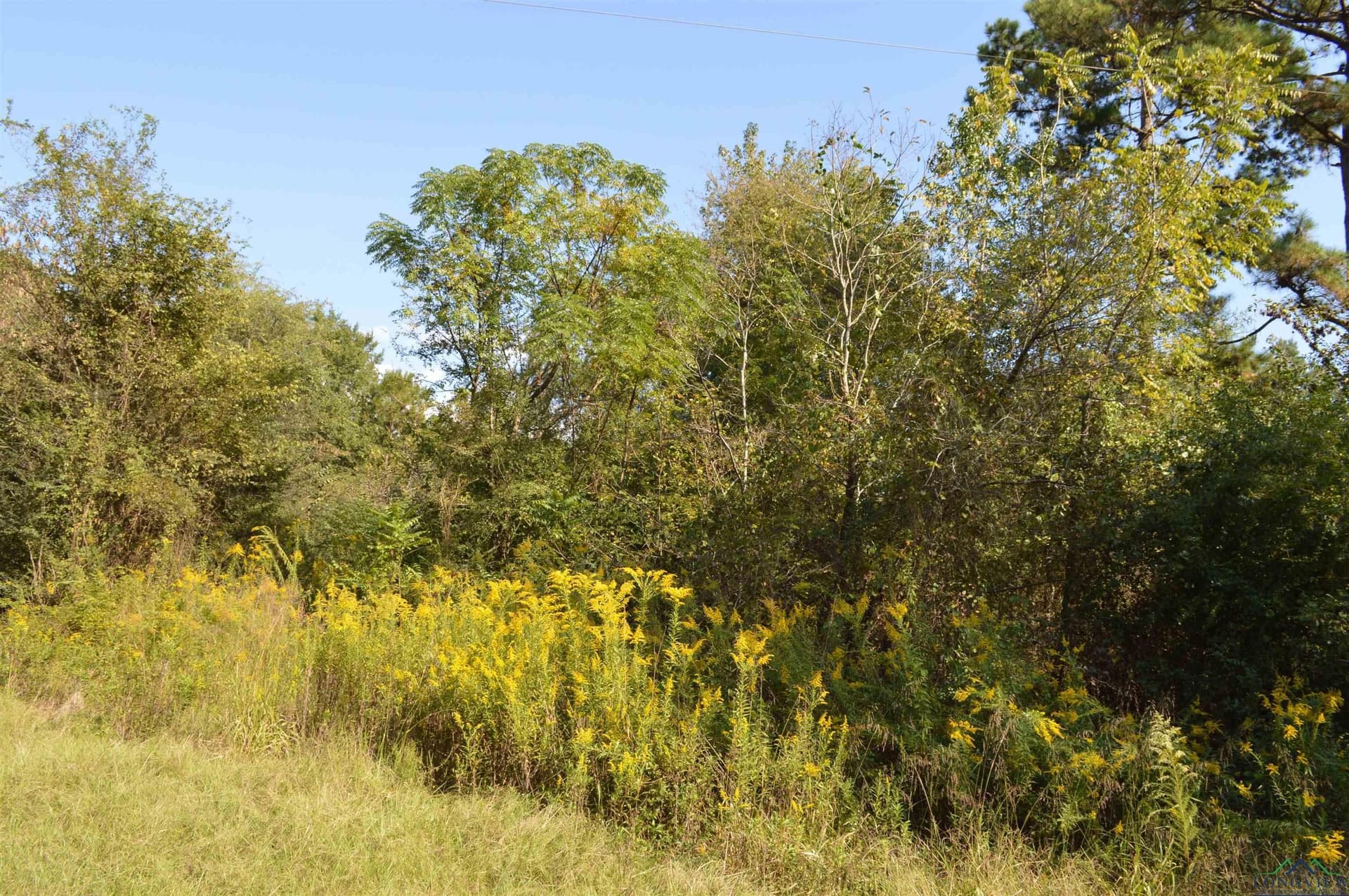13.1 acres in Texas County - photo 2