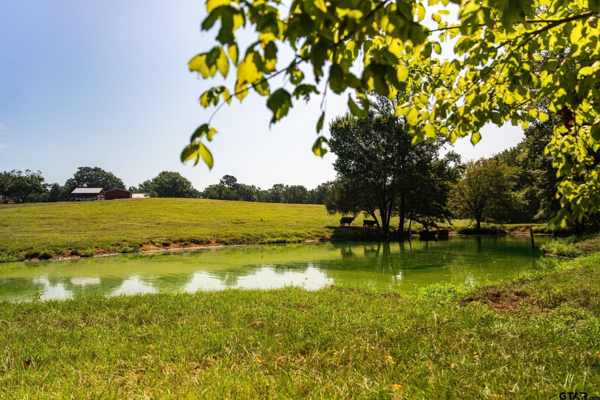 35.17 acres in Anderson County - photo 32