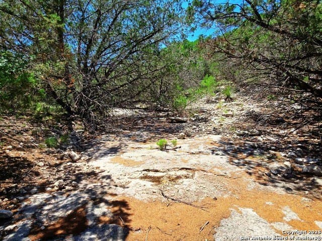 100 acres in Edwards County - photo 9