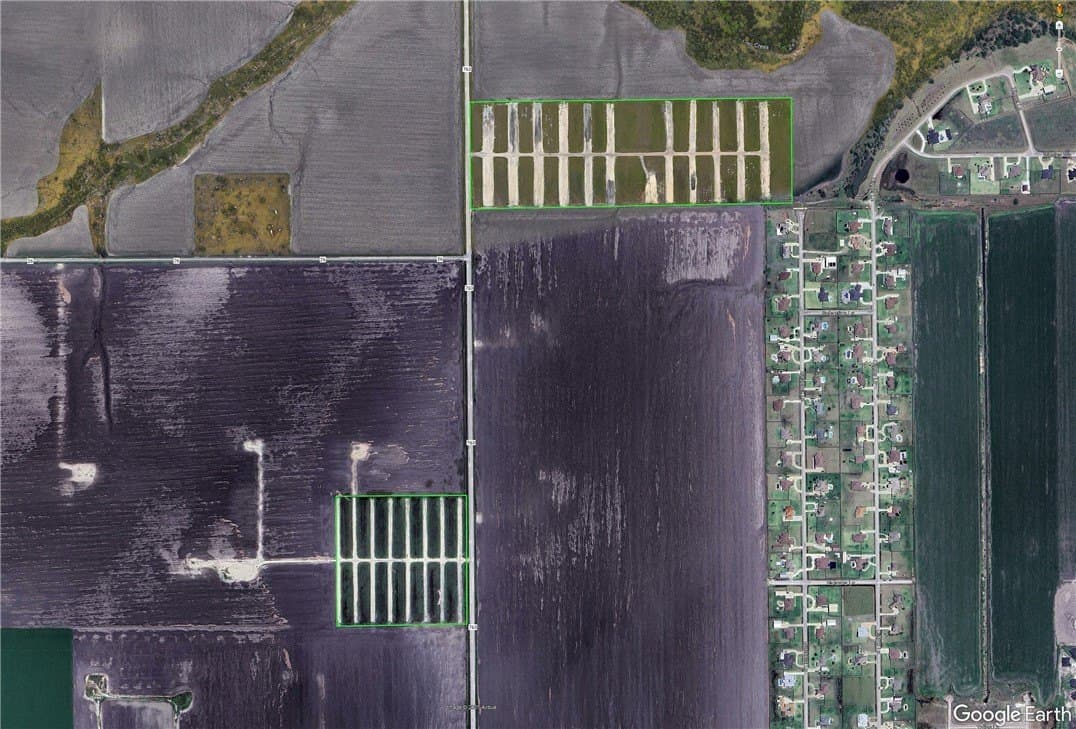 20 acres in Nueces County - photo 8