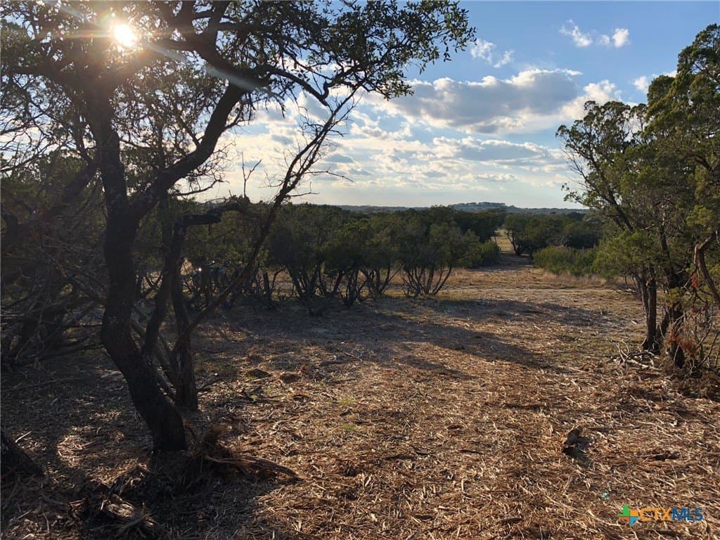 10 acres in Burnet County - photo 9