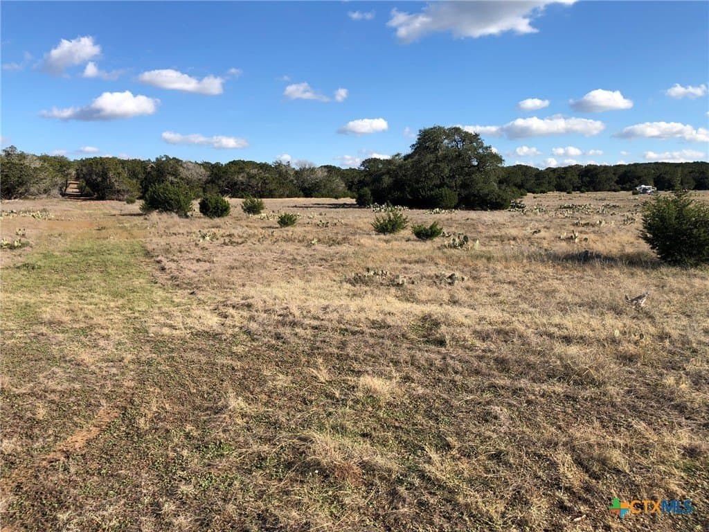 10 acres in Burnet County - photo 5