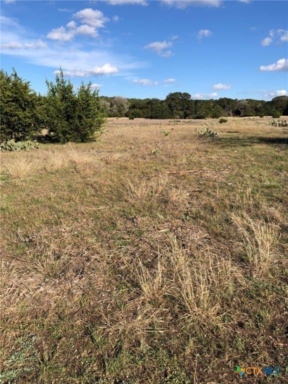 10 acres in Burnet County - photo 4