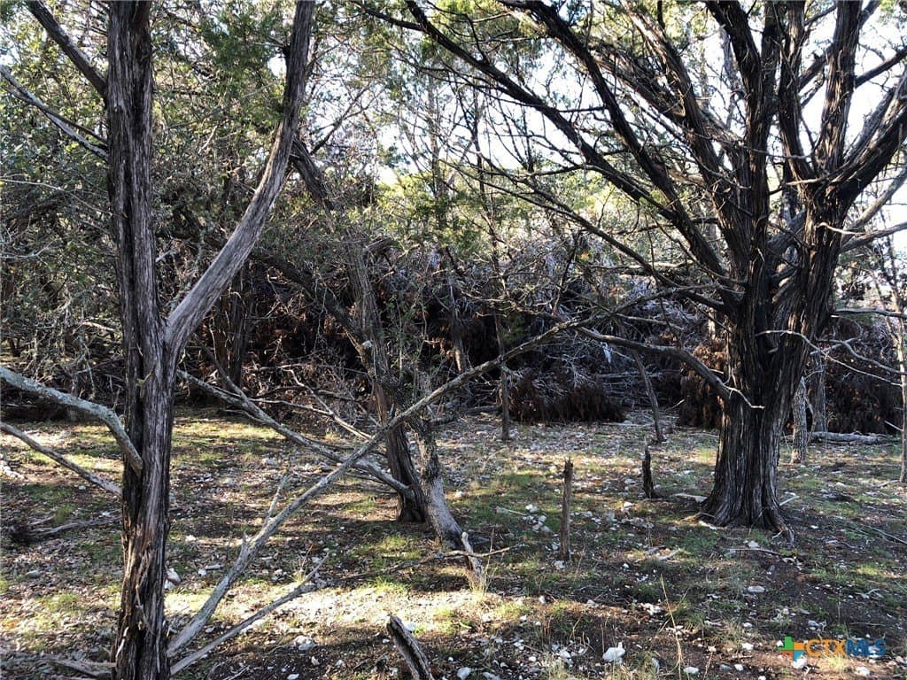10 acres in Burnet County - photo 8