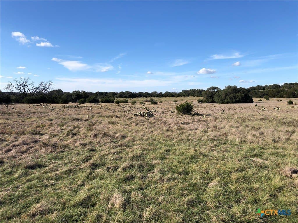 10 acres in Burnet County - photo 2