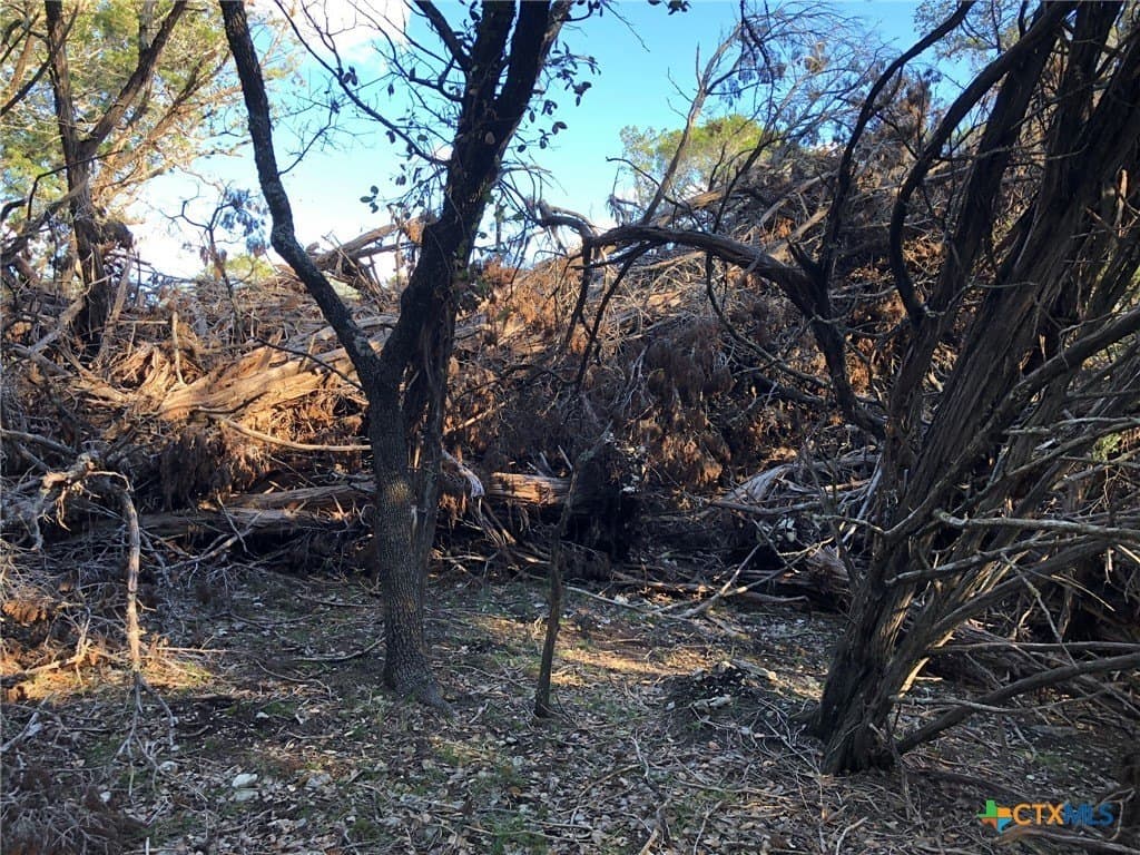10 acres in Burnet County - photo 7