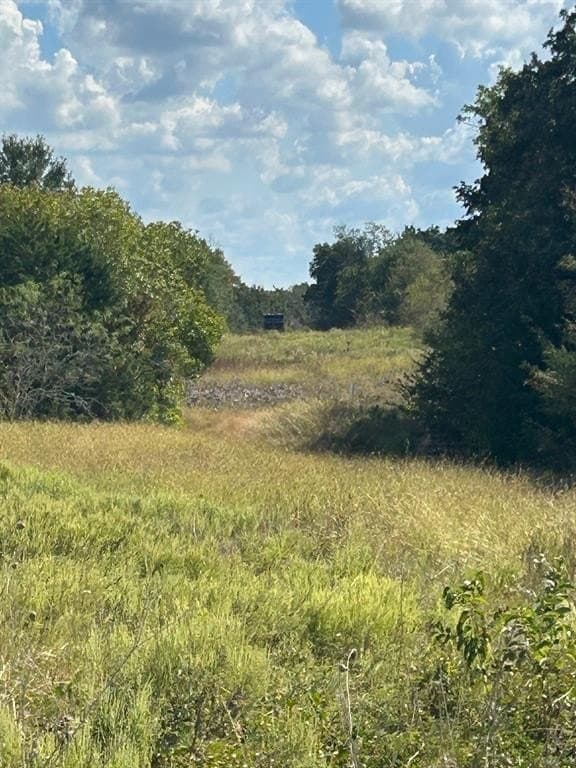 82 acres in Robertson County - photo 2