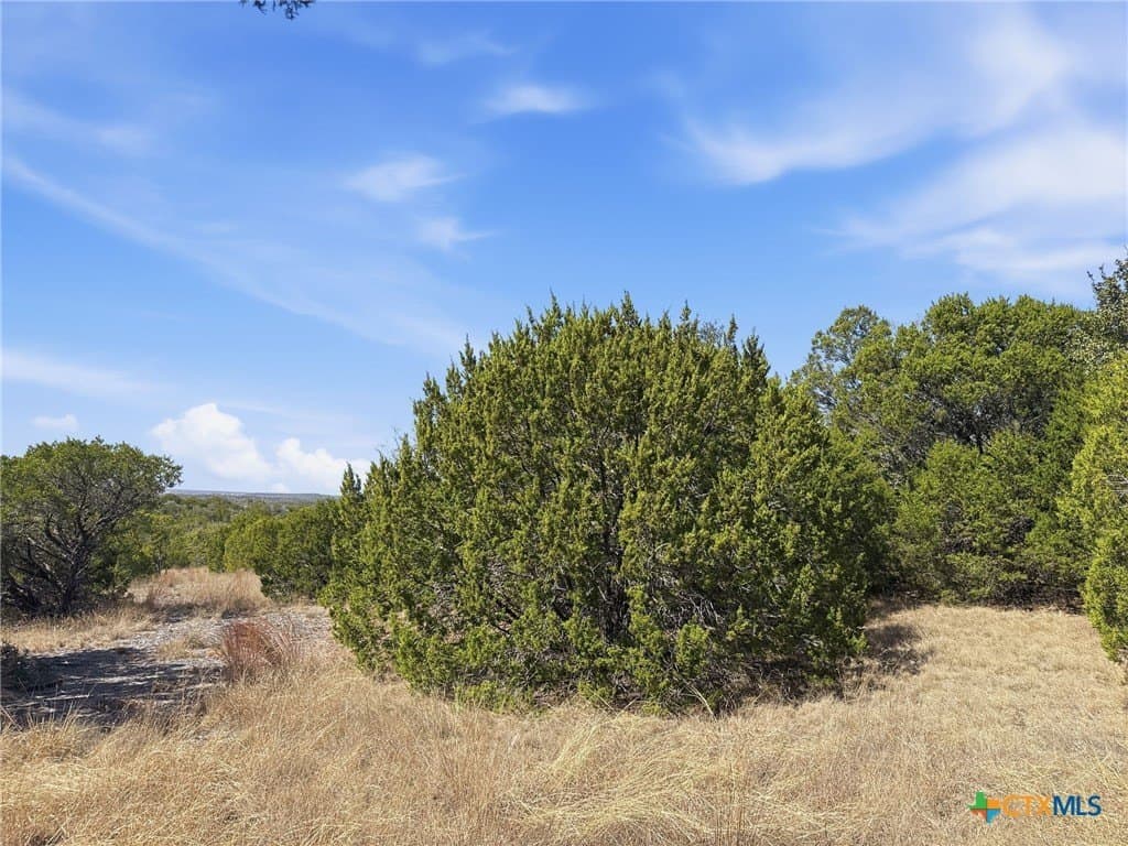 10.01 acres in Coryell County - photo 23