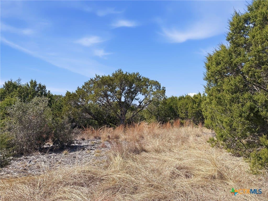 10.01 acres in Coryell County - photo 4