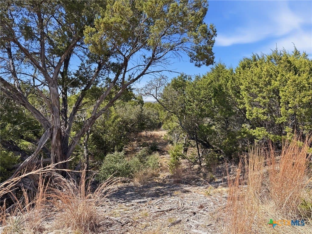 10.01 acres in Coryell County - photo 5