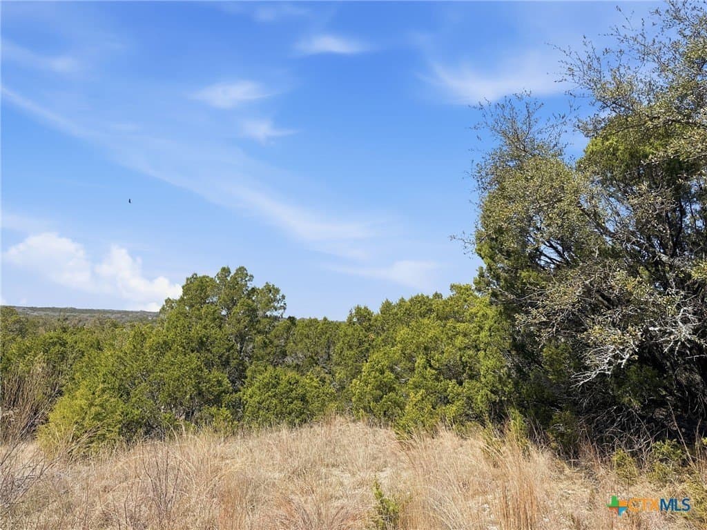 10.01 acres in Coryell County - photo 2