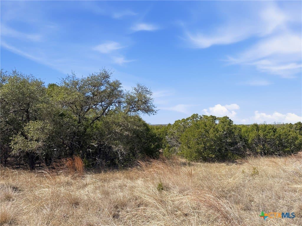 10.01 acres in Coryell County - photo 16