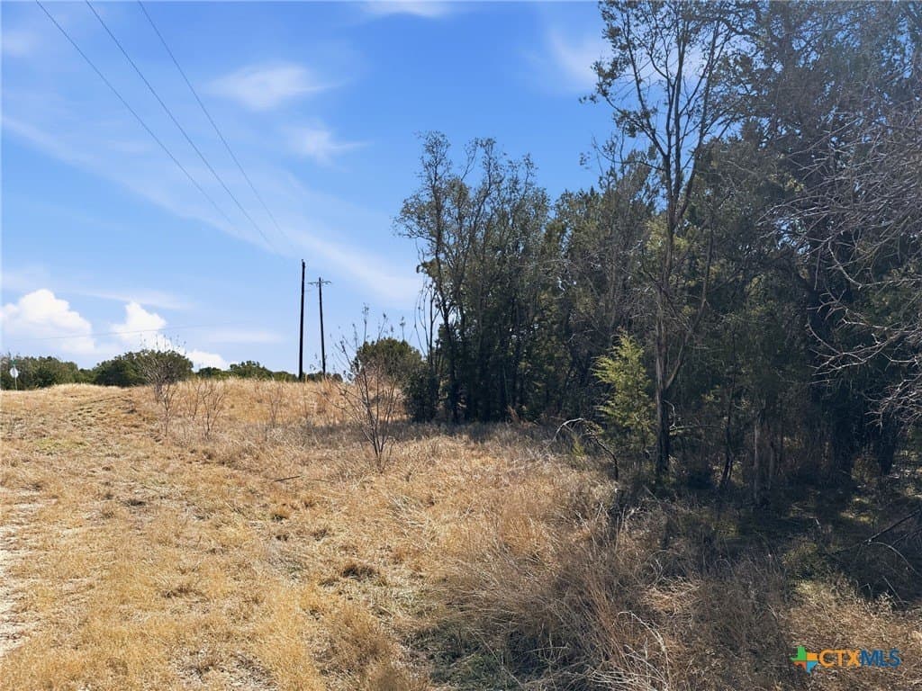 10.01 acres in Coryell County - photo 21