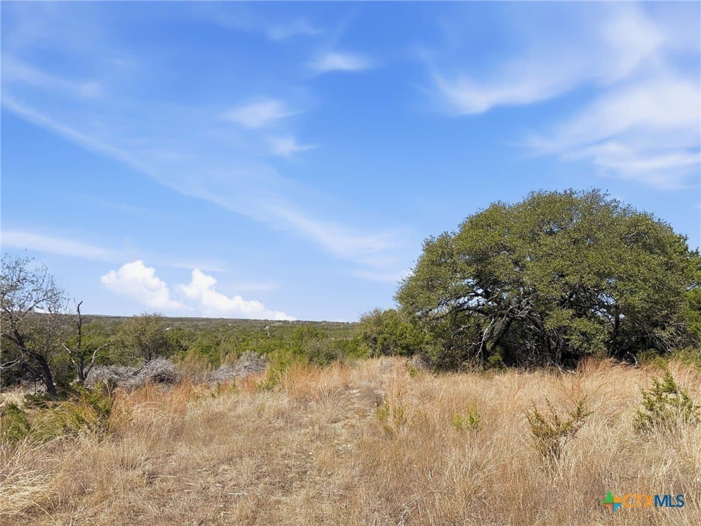 10.01 acres in Coryell County - photo 3