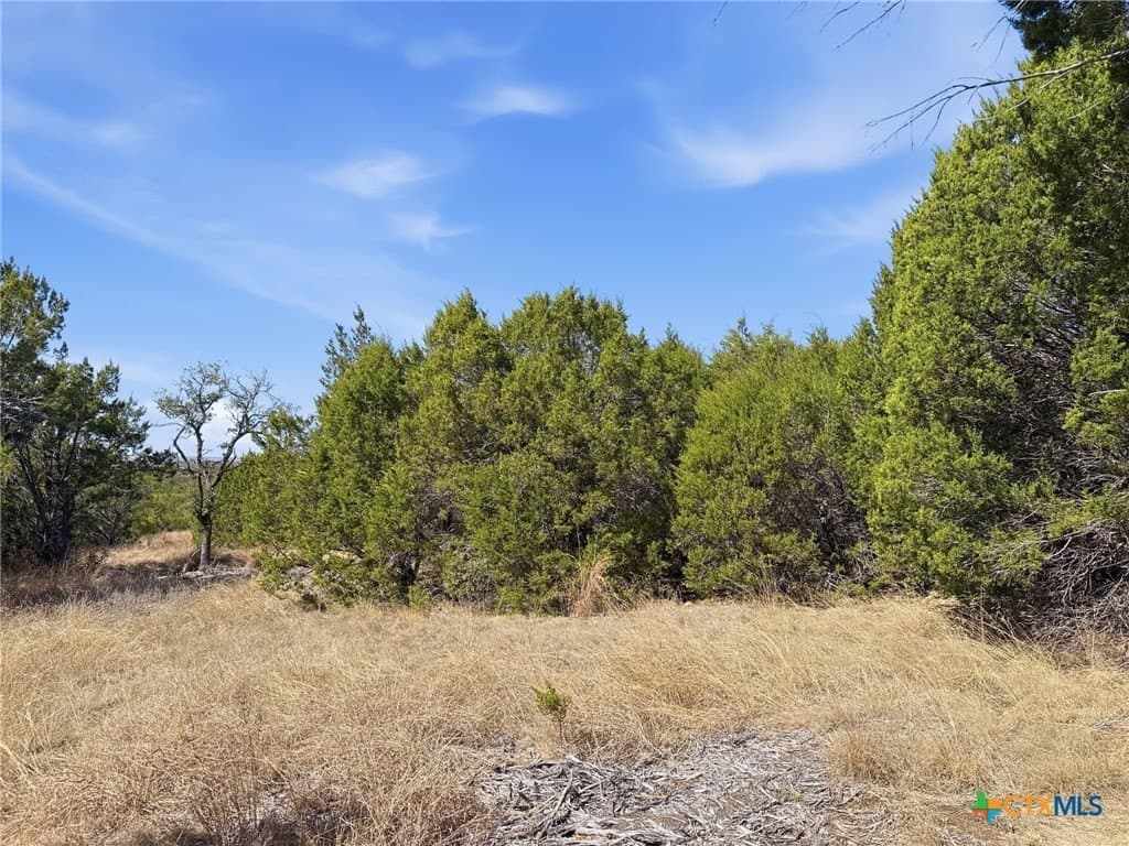 10.01 acres in Coryell County - photo 22