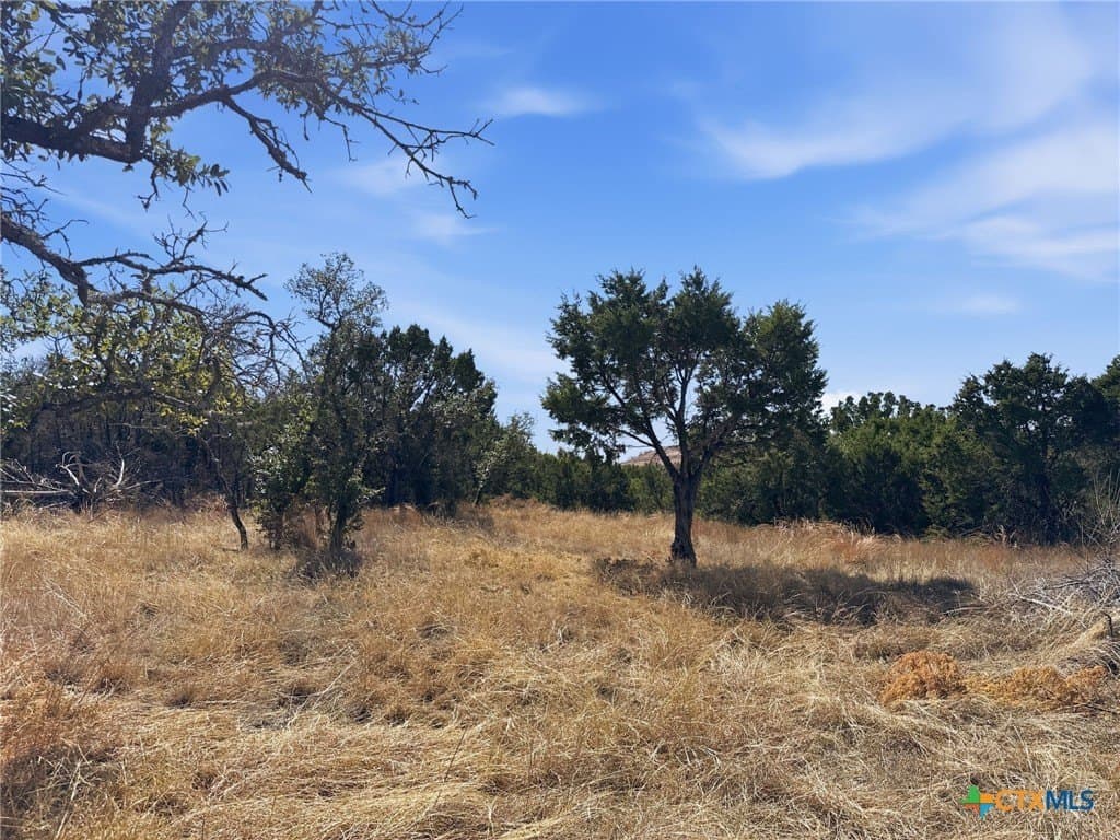 10.01 acres in Coryell County - photo 12