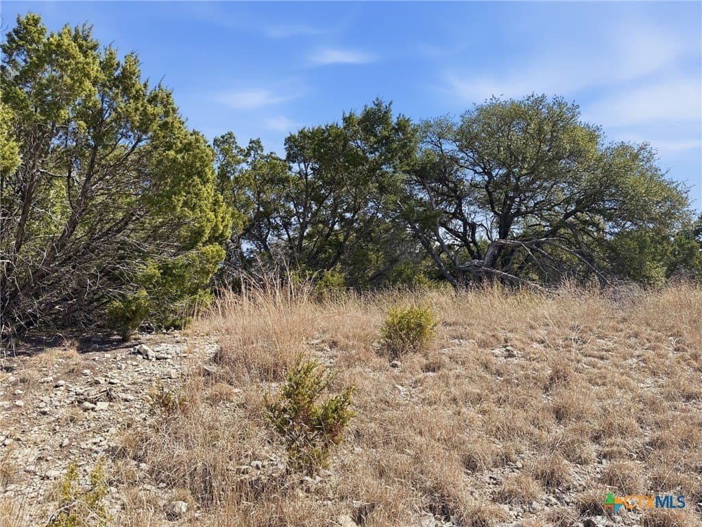10.01 acres in Coryell County - photo 18