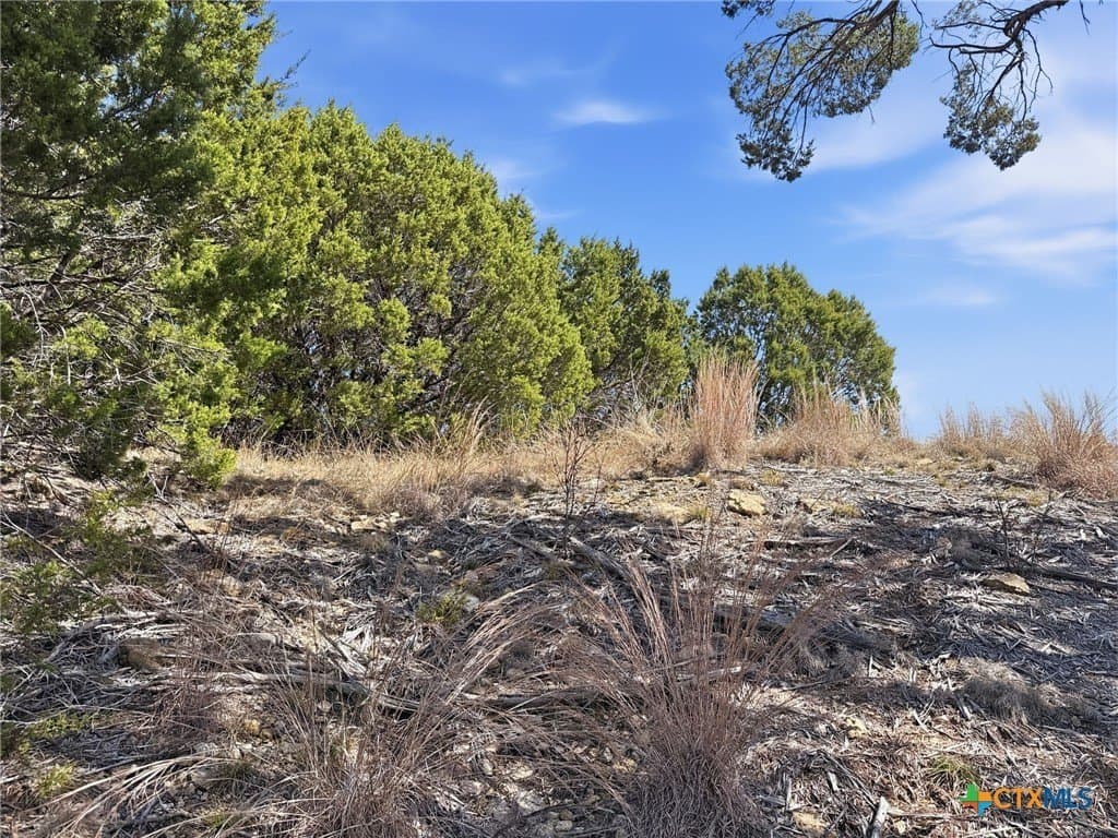 10.01 acres in Coryell County - photo 6