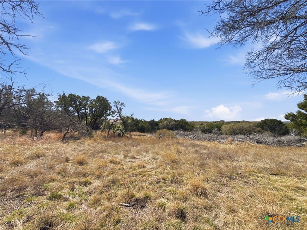 10.01 acres in Coryell County - photo 9